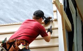 Best Fascia and Soffit Installation  in Spring Valley, AZ